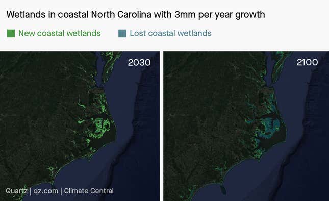 Wetlands in North Carolina in 2030 and 2100 with 3mm per year growth.