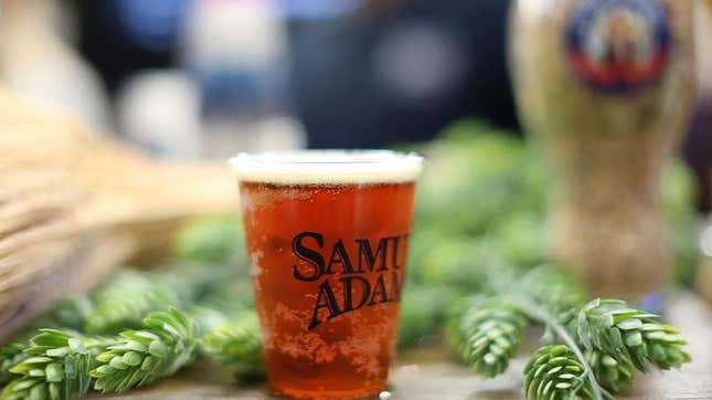 Close-up of Samuel Adams beer in plastic cup