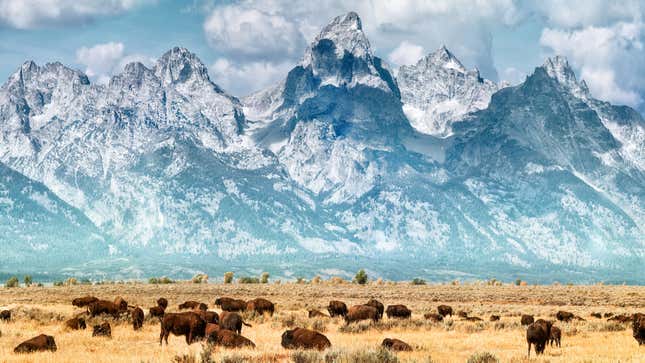 Image for article titled The Surprising History Behind America’s National Parks