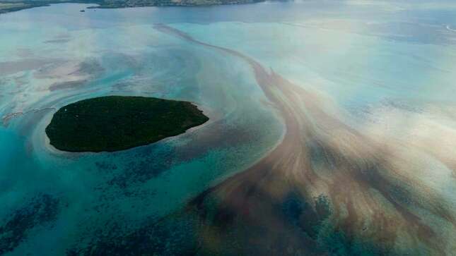 Por qué los habitantes de Mauricio están usando cabello humano para combatir el derrame de petróleo