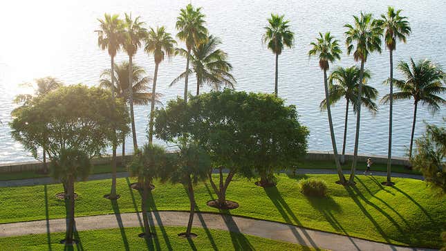 The beachfront path in Miami.