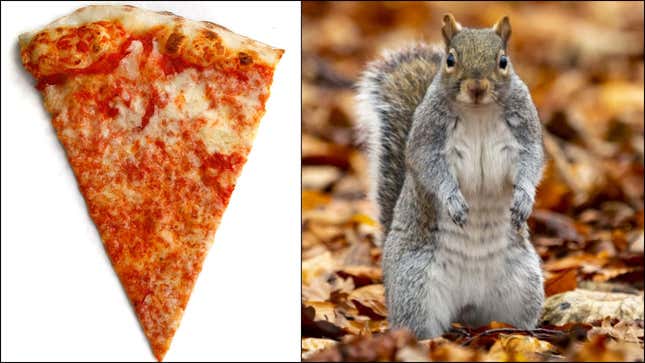 Left: slice of pizza; Right: squirrel standing on hind legs