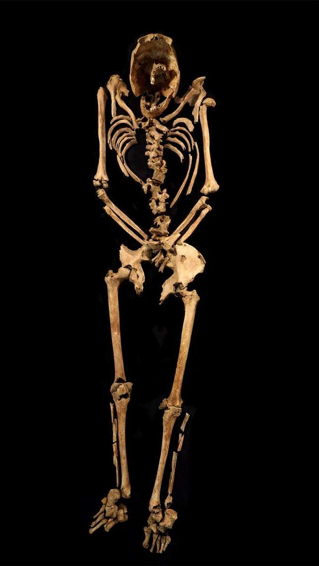 Imagen para el artículo titulado Un antiguo esqueleto encontrado en Inglaterra, segunda evidencia física de la crucifixión romana