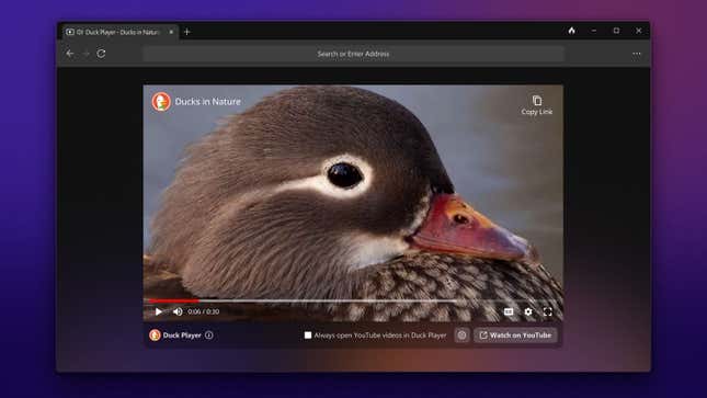 Image for article titled You Should Really Try Out DuckDuckGo&#39;s Windows Beta