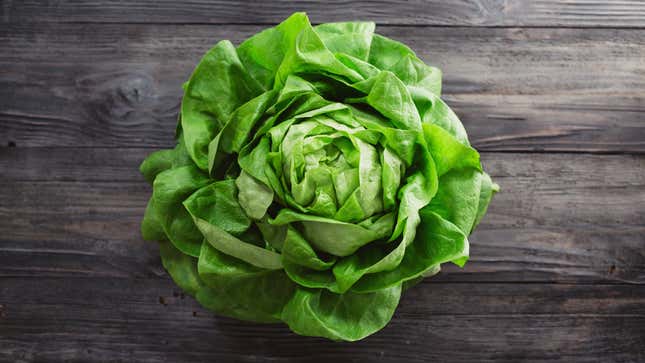 Image for article titled Don’t Eat This Recalled Lettuce, FDA Says