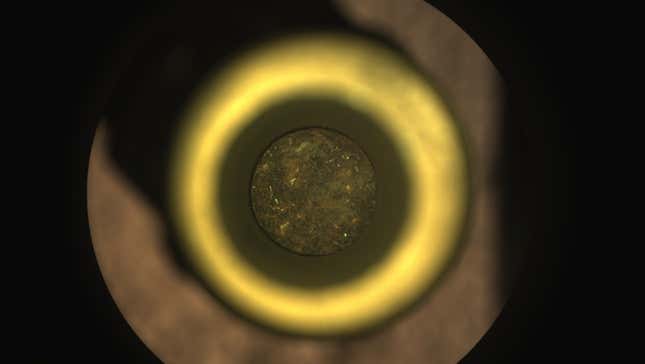 La primera muestra con núcleo de roca de Marte es visible (en el centro) dentro de un tubo de recolección de muestras de titanio del rover Perseverance de la NASA. La imagen fue tomada el 6 de septiembre de 2021