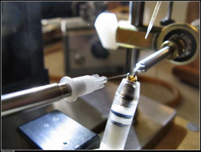 Artificial insemination of a queen bee.