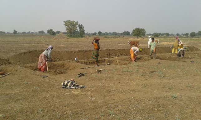Image for article titled India’s farmers aren’t all the same, but government policies rarely reflect that