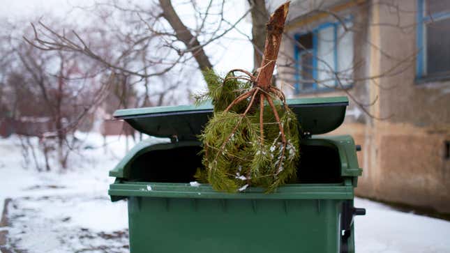 Image for article titled How to Recycle All of Your Holiday Garbage