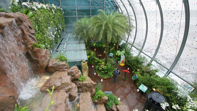 The butterfly garden.