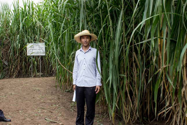 Hu Yingping, director of the Rwanda Agricultural Technology Demonstration Center in Huye, Rwanda.