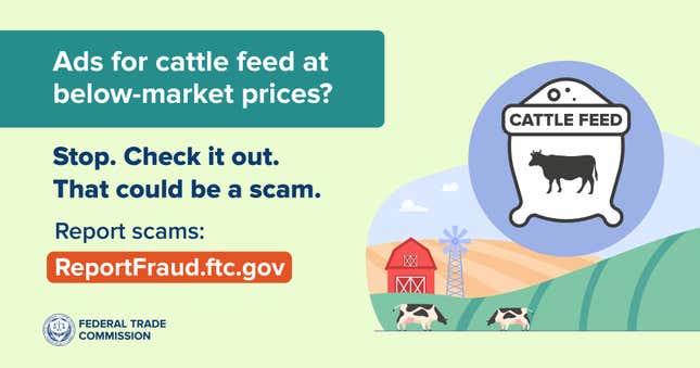 A graphic warning against cattle feed scams.