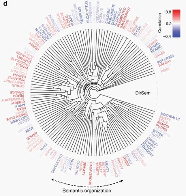 Image for article titled Artificial intelligence is making it easier to describe smells