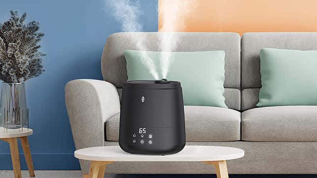 TaoTronics 6L Cool Mist Humidifier | $39 | Amazon
TaoTronics 6L Warm and Cool Mist Humidifier | $63 | Amazon