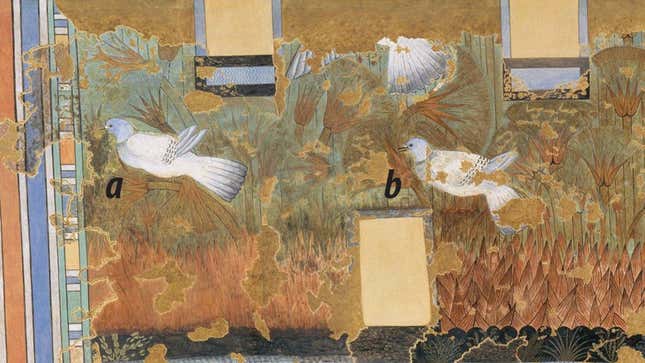 Palomas bravías en las pinturas facsímiles