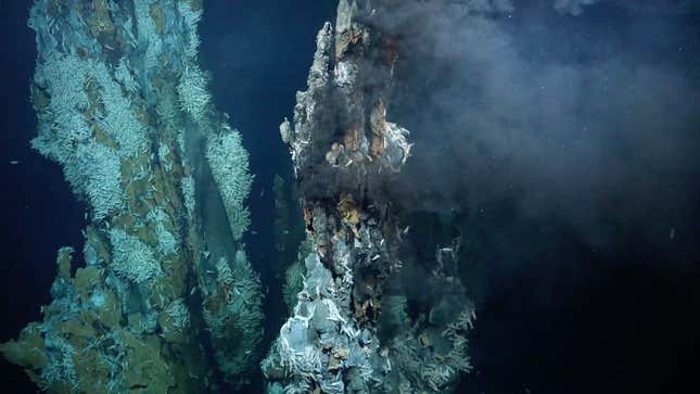 One of the new vents, discovered about 6,560 feet (2,000 meters) underwater on the Puy des Folles Seamount. The cloudy substance in the upper right is the hot, nutrient-rich water being expelled from the vent. 