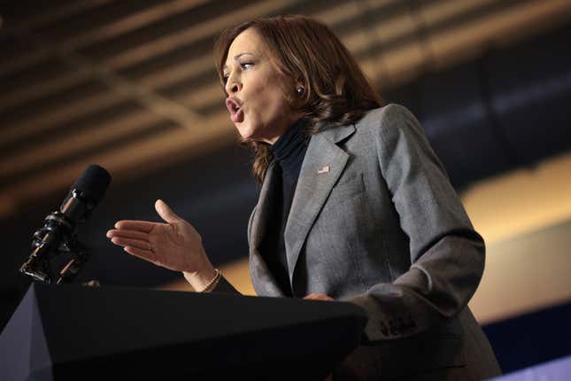 U.S. Vice President Kamala Harris speaks while campaigning with Democratic gubernatorial candidate, former Virginia Gov. Terry McAuliffe during an event featuring singer Pharrell Williams October 29, 2021 in Norfolk, Virginia. 