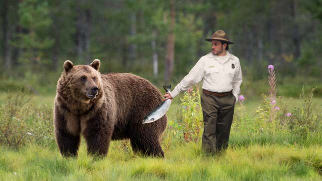 Image for article titled Park Ranger Slips Fat Fish To Bear Before Gesturing Towards Littering Family He Wants Mauled