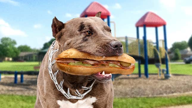 Image for article titled Onlookers Scream As Pit Bull Clamps Down On Child’s Hoagie