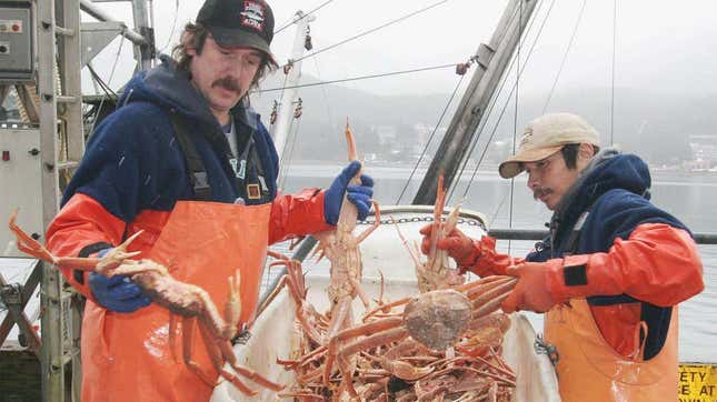 Imagen para el artículo titulado Miles de millones de cangrejos de las nieves han desaparecido de las aguas de Alaska