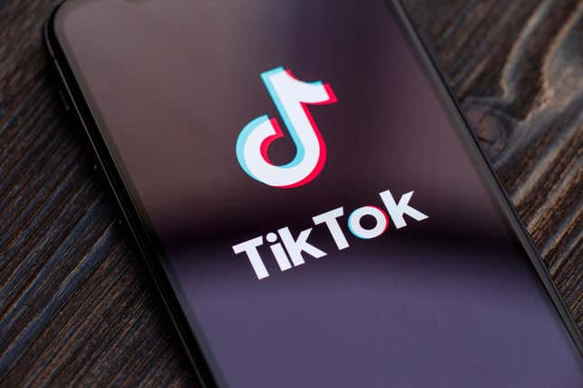 Image for article titled TikTok Karen Accuses Black Man of Stealing Her Phone, Only For it to be in Her Purse