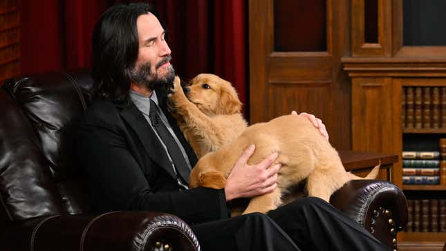 Keanu "the puppy king" Reeves holds two golden retriever puppies so his lap while playing "pup quiz" on the Tonight Show with Jimmy Fallon. 