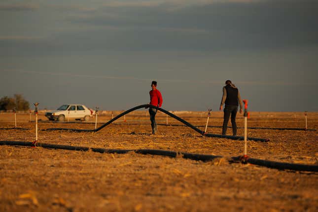 Farmers water their fields near Lake Tuz in Aksaray province of Turkey, Monday, Oct. 25, 2021.