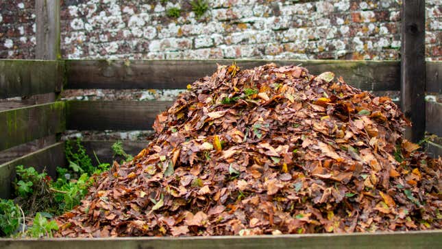 Image for article titled How to Start Composting Leaves (and Why You Should)