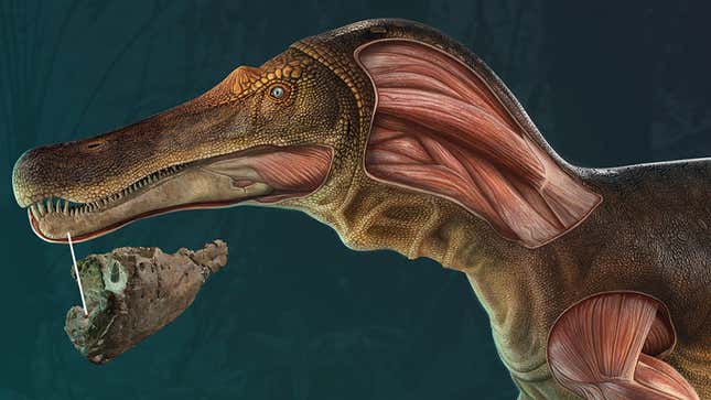 Huge Semi-Aquatic Dinosaur Stalked the Shores of Western Europe
