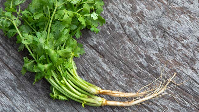 Image for article titled You Should Eat Cilantro Roots
