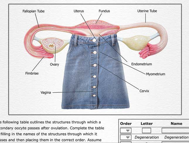 Image for article titled Christian School Anatomy Textbook Shows Female Reproductive System Wearing Long Denim Skirt