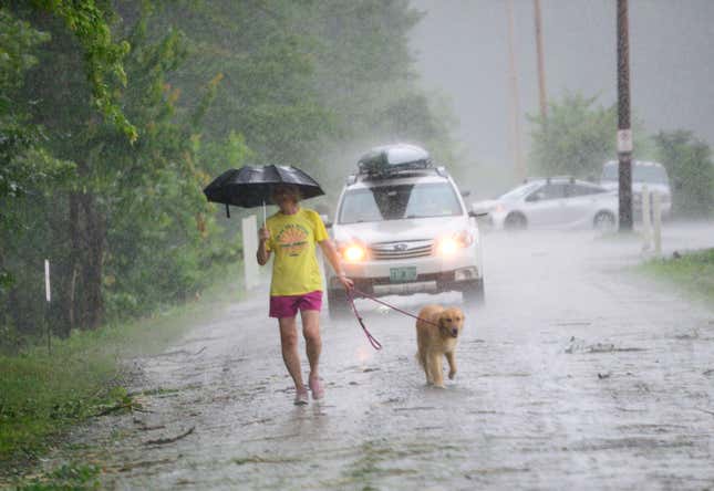 Nancy Cain, of Brattleboro, Vt., walks her dog Zephyr as the rain pours down near the West River in Brattleboro, Vt., Monday, July 10, 2023. 