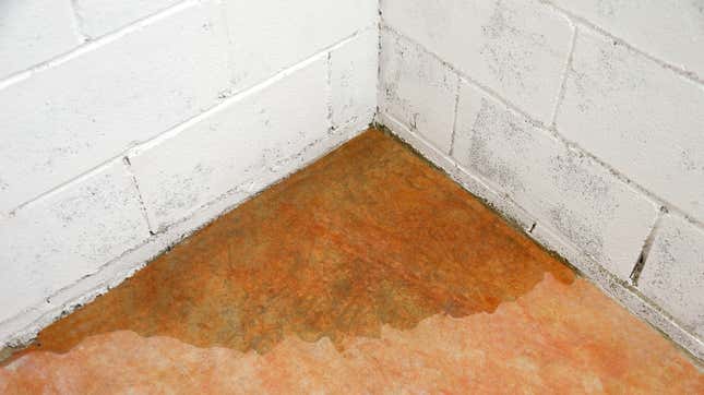 Image for article titled How to Keep Your Basement from Flooding When Snow and Ice Start to Melt