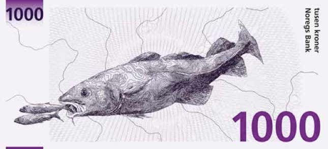 Image for article titled Think Norway’s new bank notes are cool? You should see the ones they rejected