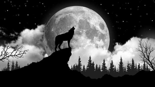 Image for article titled When to See the Wolf Moon in January