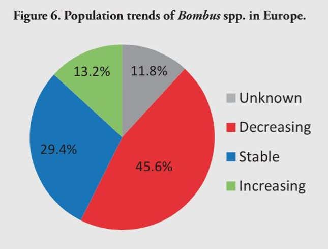 Europe’s 68 bumblebee species play a crucial role in pollination of crops like tomatoes, peppers, and many fruits—in fact, three out of five of the continent’s most important pollinators are bumblebees. Here’s how they’re faring.