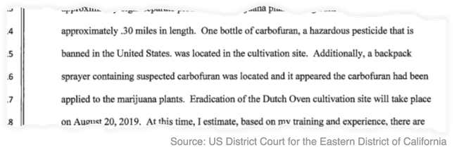 Image for article titled Illegal marijuana growers are poisoning national forests with banned pesticides