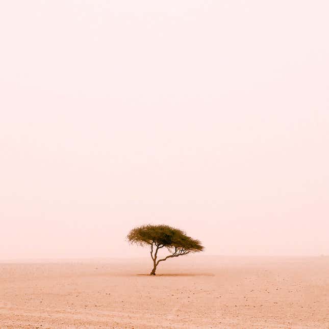 Image for article titled Photos: Stunning winners from the 2015 iPhone Photography Awards