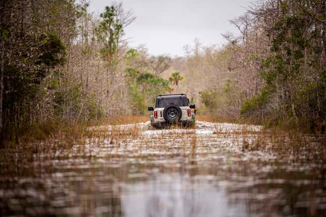 Au revoir, Everglades.  depósito de Au? 