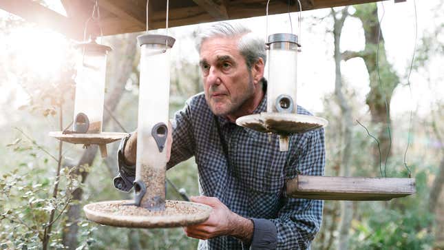 Image for article titled Out-Of-Work Robert Mueller Opens Investigation Into Whether Squirrels Knowingly Ate From Bird Feeder