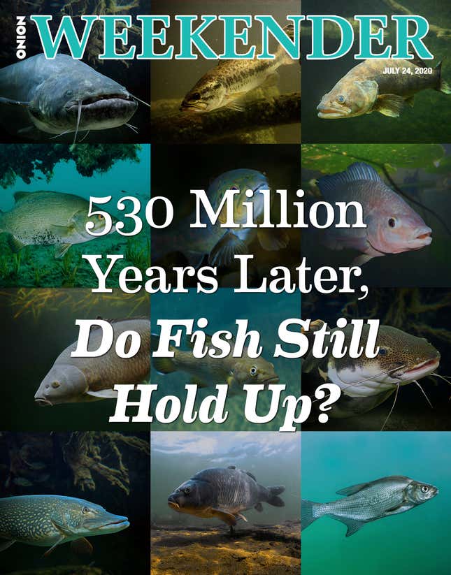 Image for article titled 530 Million Years Later, Do Fish Still Hold Up?