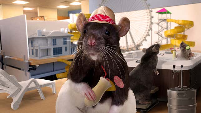 Image for article titled Rats Scramble To Hide Fully Functioning Amusement Park And Resort They Built As Workers Return To Office