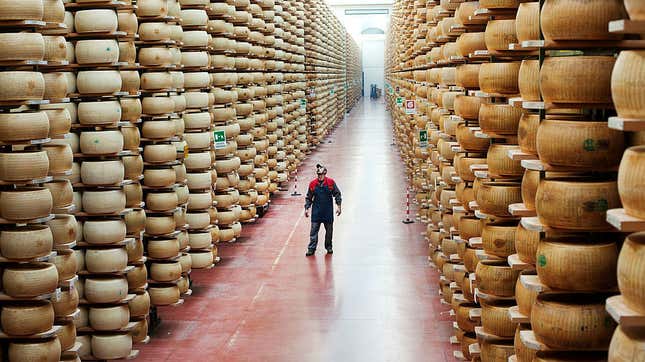 Imagine... getting paid to be surrounded by cheese