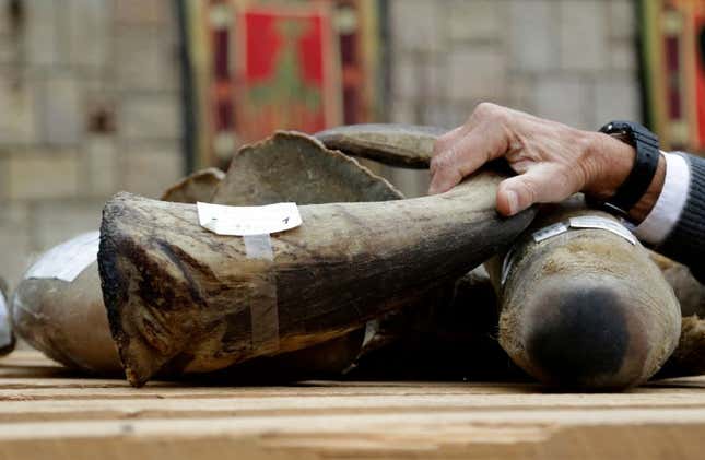 Imagen para el artículo titulado Por qué es tan grave que la OMS respalde la medicina tradicional china: las pseudoterapias que acaban con miles de animales muertos