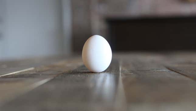 Image for article titled Check Out This Egg