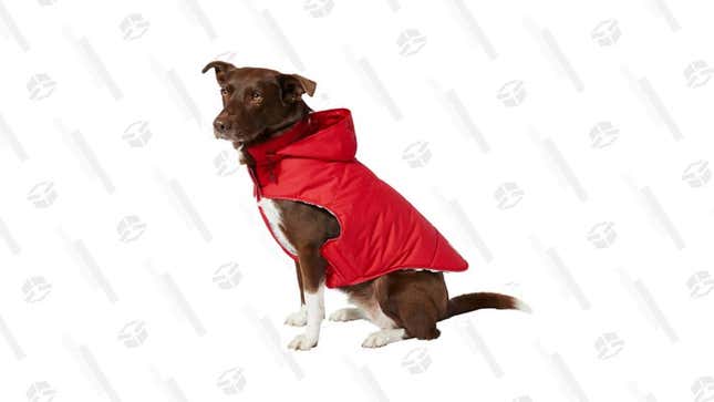   Kong Insulated Dog Parka | $22 | Chewy 