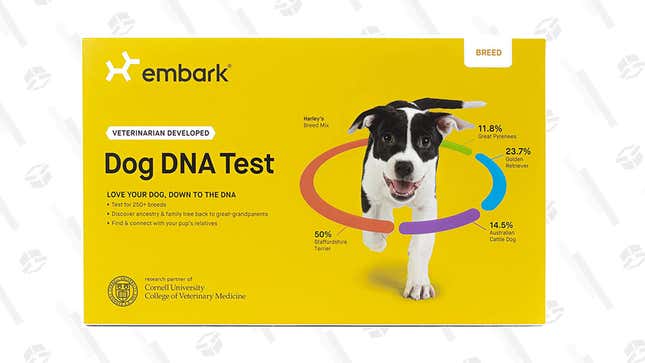 Embark Dog DNA Test Kit | $99 | Amazon Gold Box
