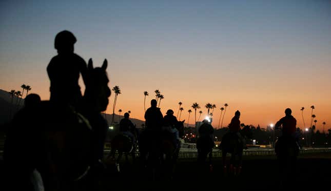 Image for article titled They Killed Yet Another Horse At Santa Anita