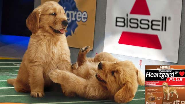 Image for article titled Puppy Bowl Overshadowed By League’s Rampant Heartworm Pill Abuse