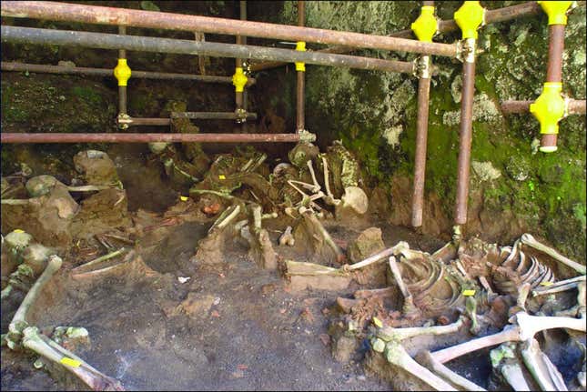 Skeletal remains still in their original position inside the stone chambers.